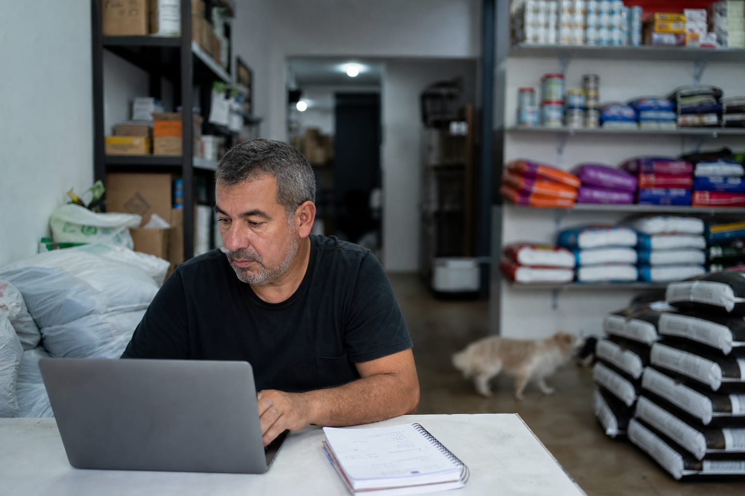 Dono de várias unidades trabalhando no notebook na sala dos fundos de um pet shop